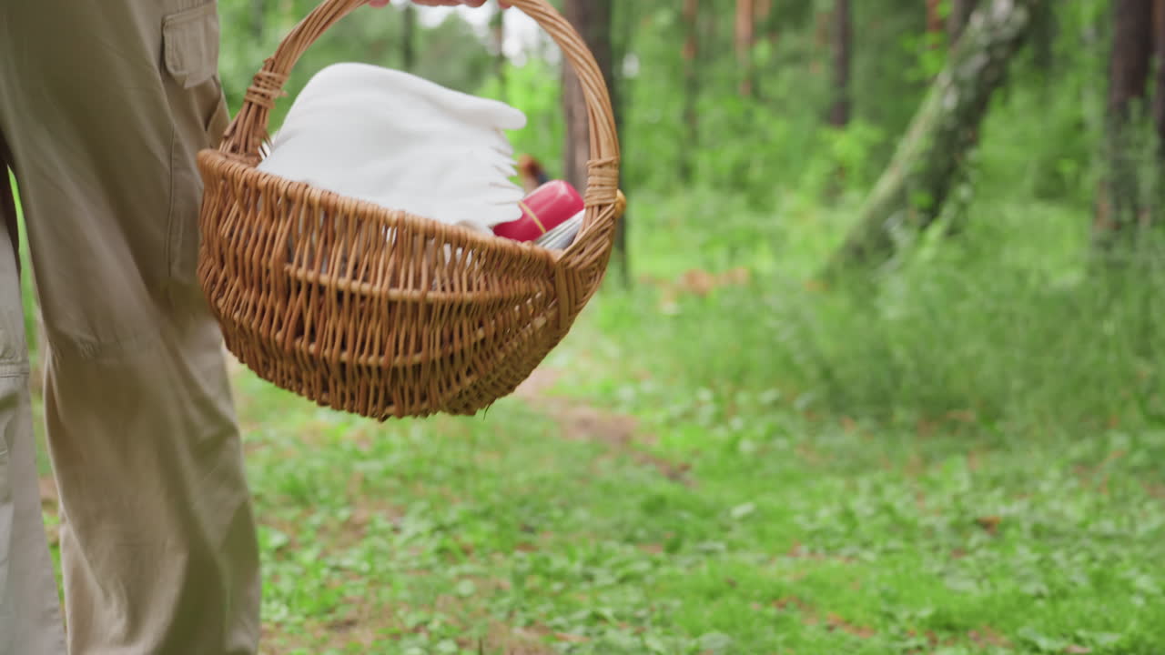 Vista trasera de un hombre joven caminando por un sendero forestal con una cesta de pícnic de mimbre con una manta y una botella, dirigiéndose hacia su familia y un coche aparcado bajo árboles verdes durante un cálido día de verano.