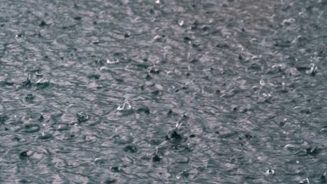 large drops of rain fall in a puddle during a rainstorm. water drops