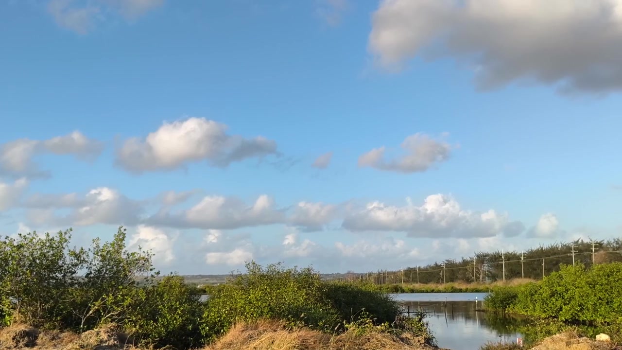 Awan Melayang di Atas Lanskap Lahan Basah Pesisir yang Tenang