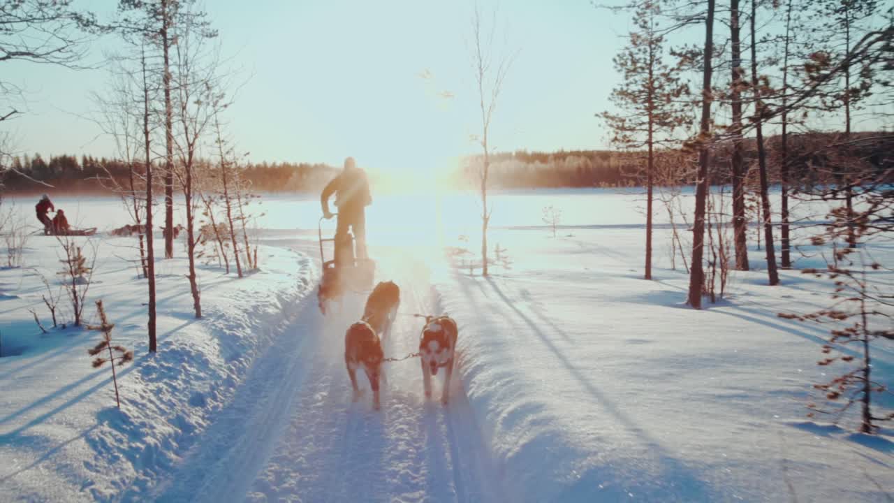 허스키와 함께 썰매를 타는 사람