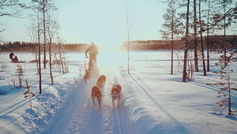 person riding sleigh with huskies