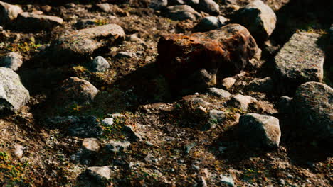 close up of rocky stones formation