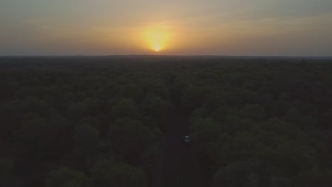 toma aérea de un camino a través de un bosque a la hora del amanecer en el parque nacional de kuno