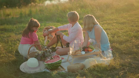 family enjoying outdoor picnic on grassy field with sunlight, woman playfully pats dog that tries to catch her hand, scene includes picnic food, watermelon, croissants, fruits, flowers, and a hat