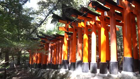 vermilion torii gates of fushimi inari shrine, kyoto, japan, torri