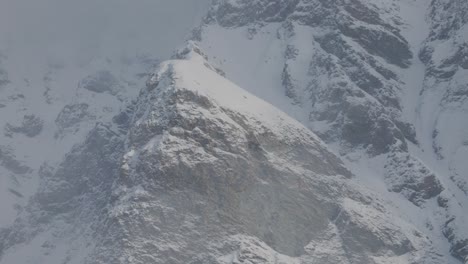 Nebelige-Atmosphäre-Hüllt-Bergkiefern-In-Schnee