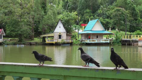 Pigeons-perched-on-a-railing-near-unique-lake-houses,-creating-a-picturesque-lakeside-scene