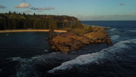 Circle-shot-around-lone-pine-with-emily-bay-in-background,-Sunset-on-Norfolk-Island