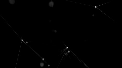 abstracto blanco bajo poli ondulando superficie 3d como fondo creativo.