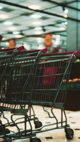 shopping carts in a grocery store