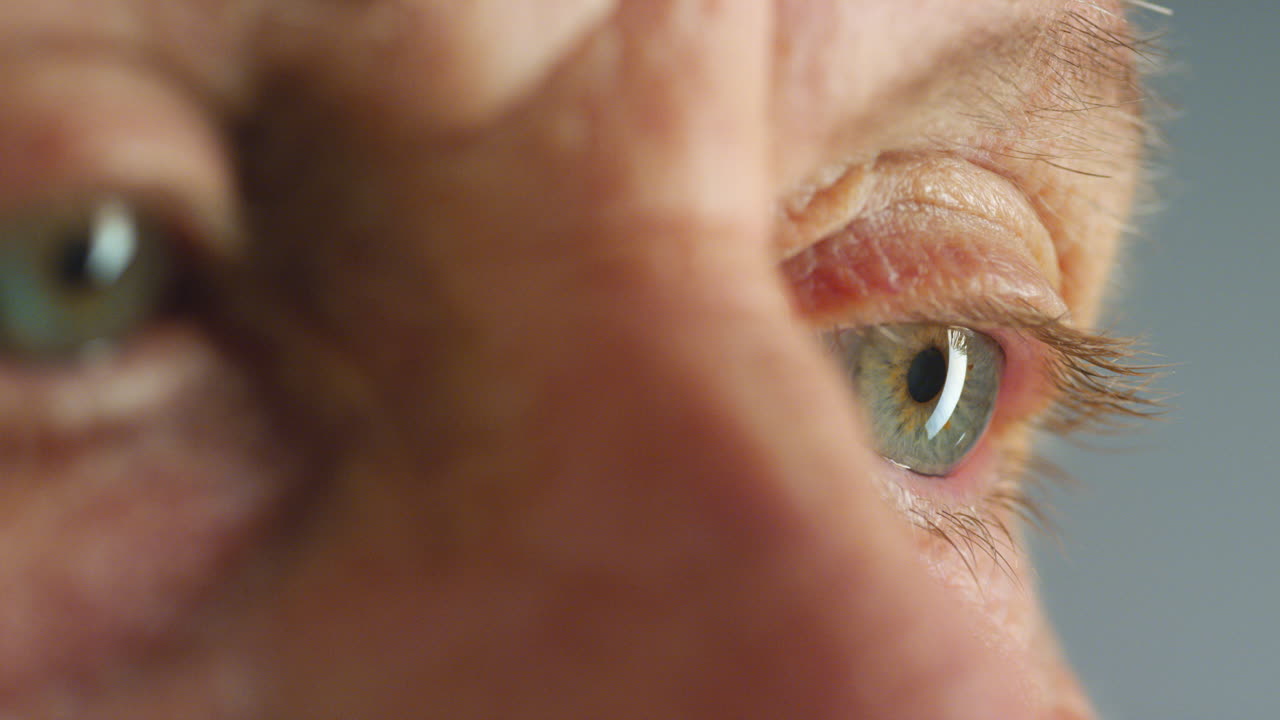 눈, 시력 및 인간 시계