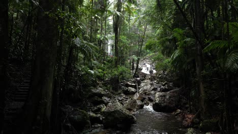 water flowing down a lush jungle stream revealing a towering tropical waterfall in the distance