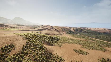 desert landscape surrounded by mountains with low bushes in the distance