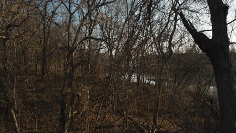 Árboles-Muertos-Sobre-El-Bosque-A-Orillas-Del-Lago-Cerca-Del-Lago-Flint-Creek,-Arkansas,-Estados-Unidos