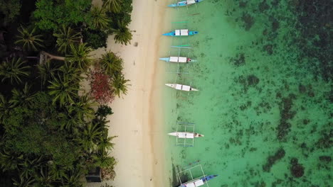 Toma-Aérea-De-Arriba-Hacia-Abajo-De-La-Playa-En-Palawan-De-Filipinas-Con-Barcos-Banca