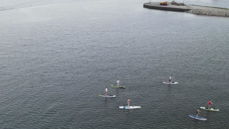 ocean with calm waves and tourists paddle boarding during summer vacation