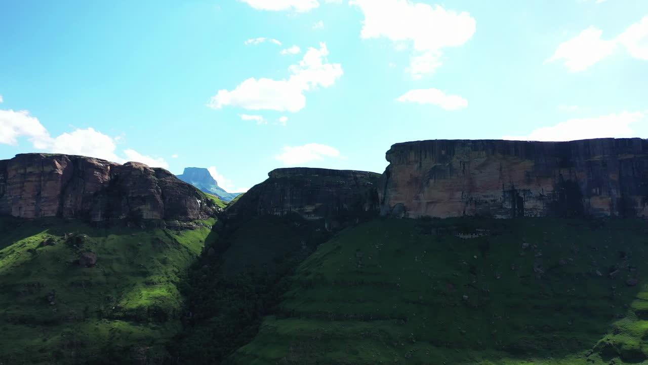 야생의 아름다움