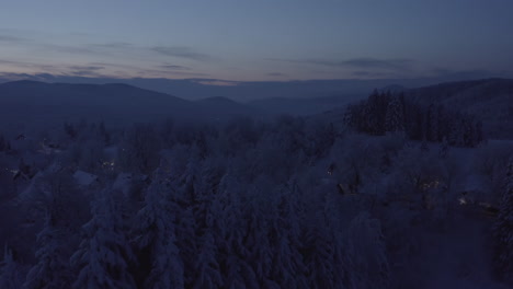 drone avanzando sobre el bosque en vuelo bajo cruzando árboles muy de cerca llenos de nieve por la noche