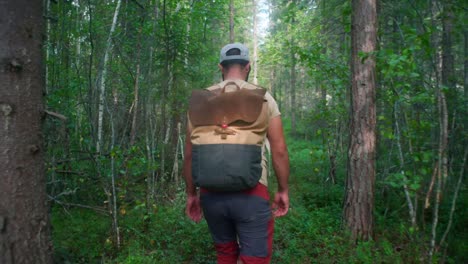 hiker out on a hike through the woods