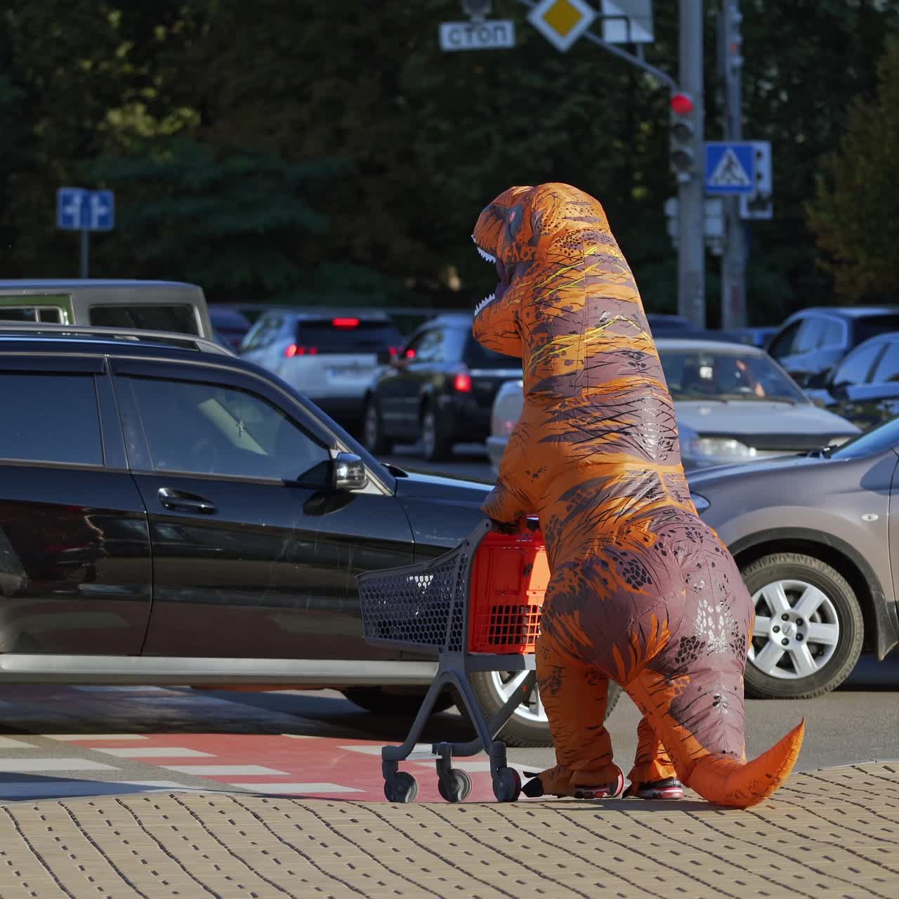 T-Rex dinosaur crossing the busy crossroads on sunny daytime. Man in inflatable costume maneuvering among the cars pushing the shopping cart