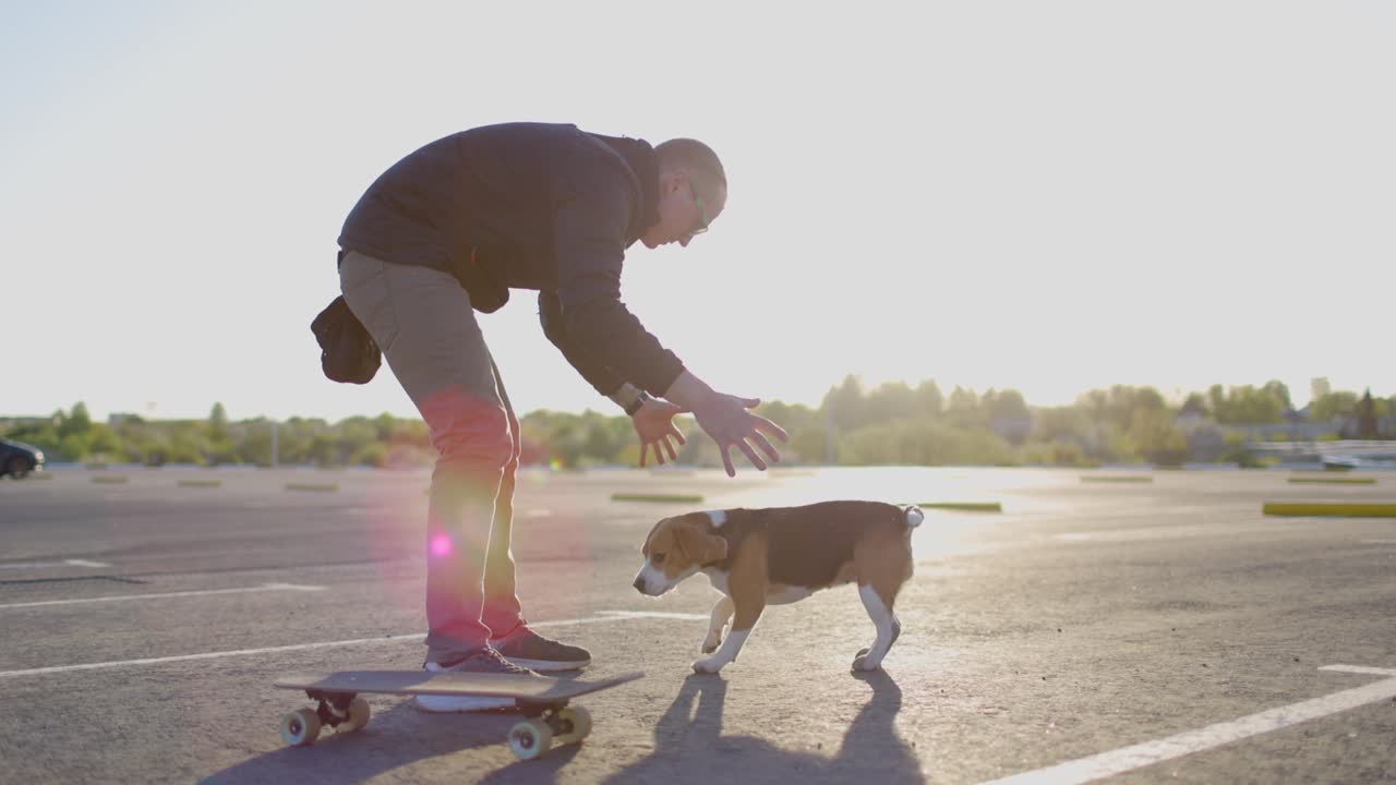 젊은이가 사랑하는 개와 함께 놀고 있다. 비글 개는 주인과 함께 재미를 느다.