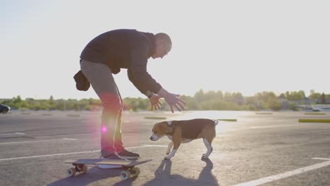 young man is playing with his beloved dog. beagle dog has fun with its owner