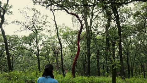 woman with wicker basket standing among tall trees