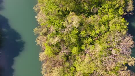 Island-on-Melton-Lake-in-Clinton,-Tennessee.