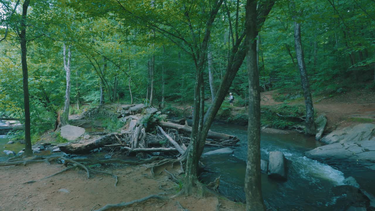 imágenes de una familia caminando por un bosque denso y descubriendo un río que fluye constantemente a través de él