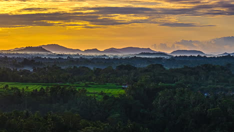 timelapse of golden sky at sunset over tropical forest and agricultural landscape, bali, aerial