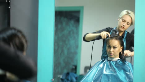 professional hairdresser cutting hair to female customer at design hair salon
