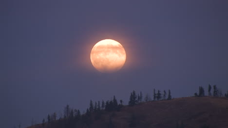 an orange moon rises behind a ridge