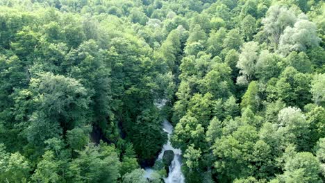 hidden magical waterfall surrounded by deep jungle forest, aerial ascend view