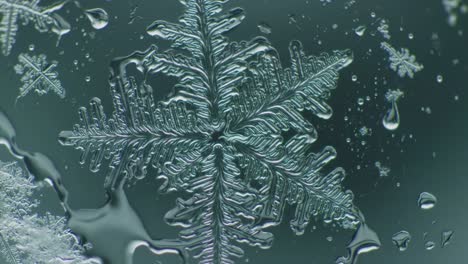 a stunning close-up of a crystal-like snowflake captured in macro photography, highlighting the intricate patterns and unique structures of ice in stunning clarity