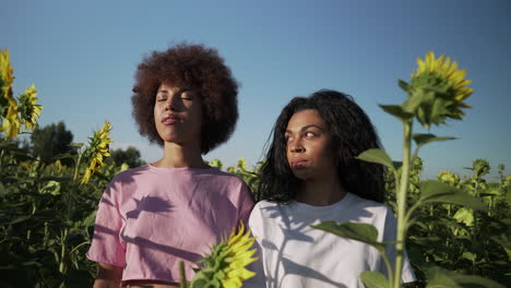 women in a sunflower field