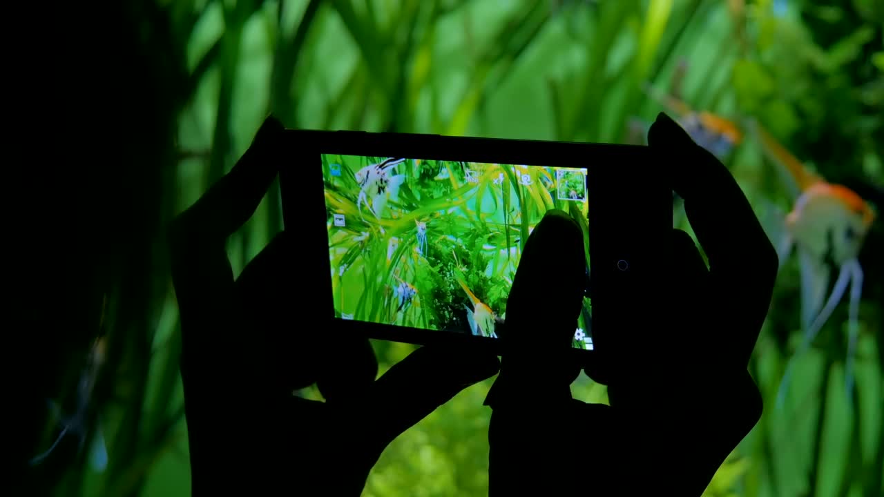 mujer tomar una foto en el oceanario