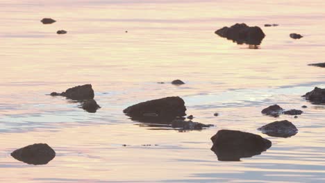 rocks in wavy water with reflected dawn light