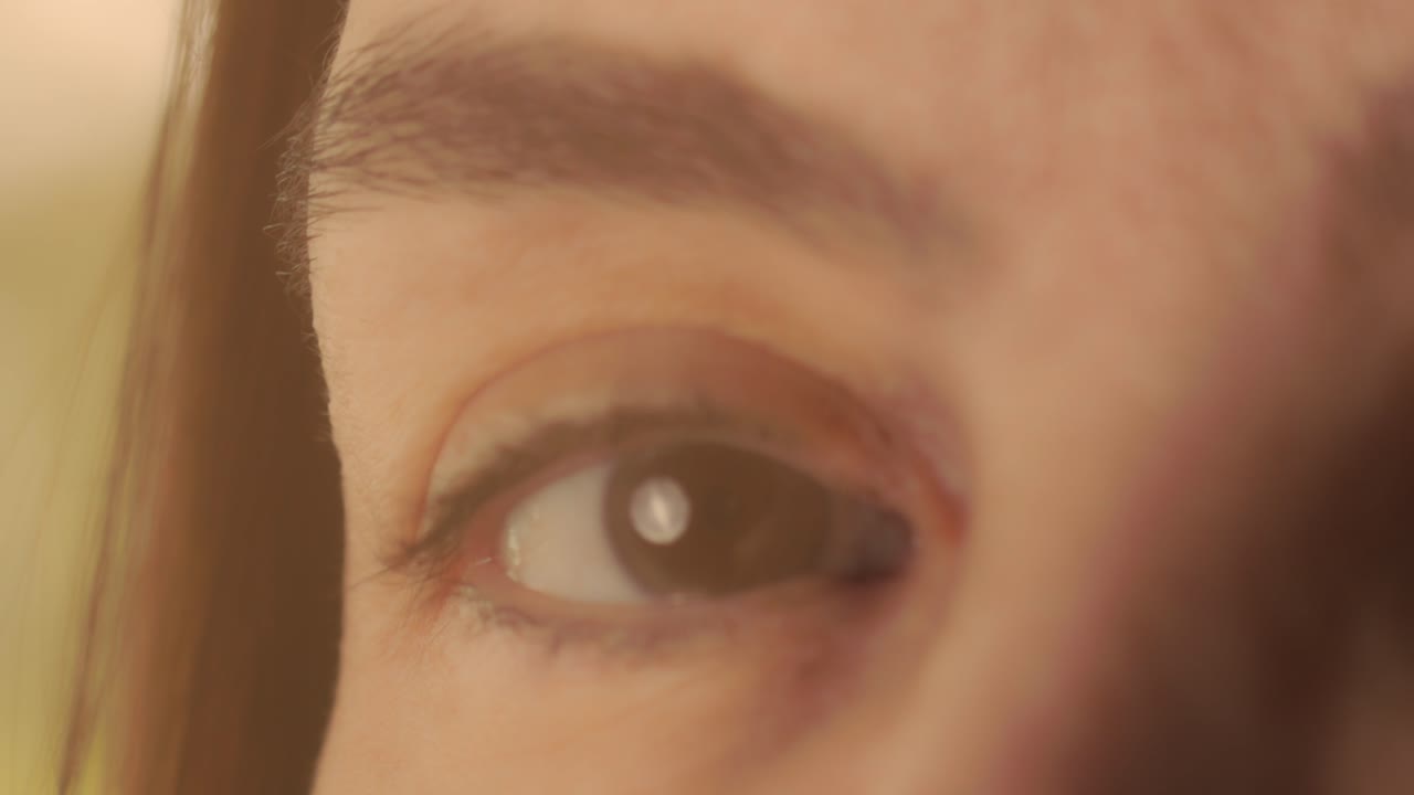 햇빛 야외에서 히스패닉 갈색 머리 여자의 아름다운 갈색 눈의 근접 촬영