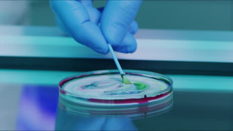 closeup of a scientist using petri dish