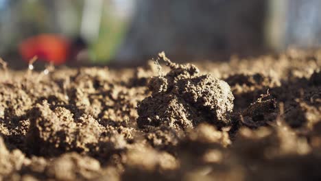 close-up view of soil