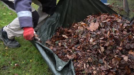 Eine-Handansicht-Eines-Menschen,-Der-Im-Garten-Blätter-Harkt