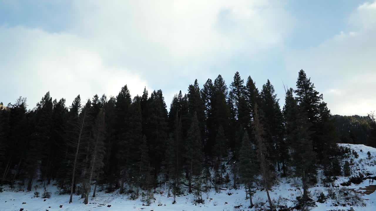 incline hacia arriba desde la parte superior del lago congelado del embalse de tibble fork en american fork canyon, utah para revelar altos pinos verdes en una fría y soleada noche de invierno nevada