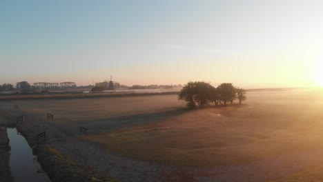 Der-Prinsenhof-Westzaan-Mit-Der-Sonnenaufgangs-filmdrohne-Antenne-In-4k-Fliegen-Sie-Nah-An-Einem-Baum-Vorbei