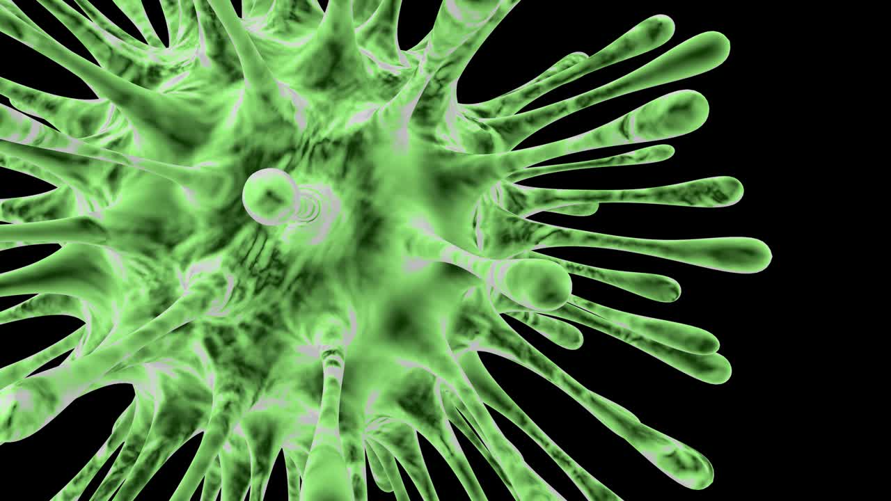 Realistic 3D animation of the Coronavirus 2019-nCoV Wuhan. SARS-CoV-2 known as 2019-nCoV, COVID-19. Seamless loop.