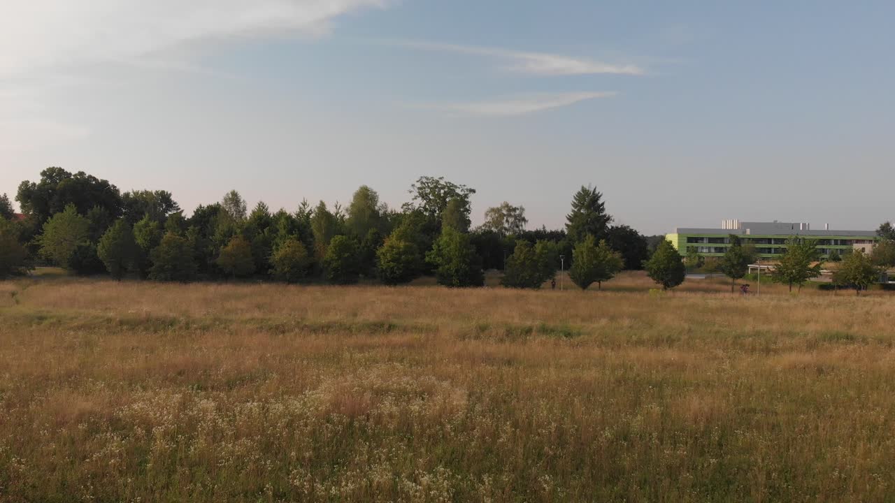 campos de maíz grabados con un dron en un día soleado