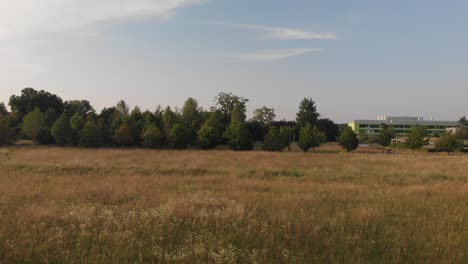 Campos-De-Maíz-Grabados-Con-Un-Dron-En-Un-Día-Soleado