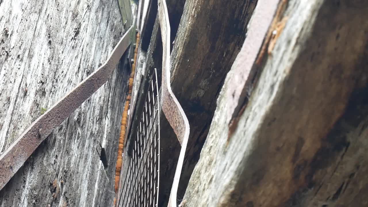 철거된 빈티지 풍화 된 오래된 나무 질감 목재와 녹슨 강철 표면 돌리 왼쪽 위를 올려다 보며