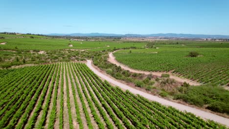 Dolly-in-transition-aerial-view-establishing-in-Cauquenes,-Maule-Valley-with-a-clear-and-sunny-skyline,-Chile