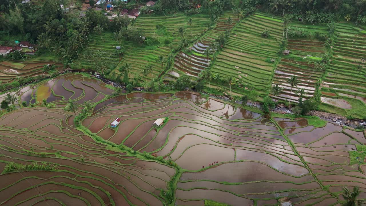 vista cinematográfica en arrozales en terrazas de arroz jatiluwih, bali, indonesia