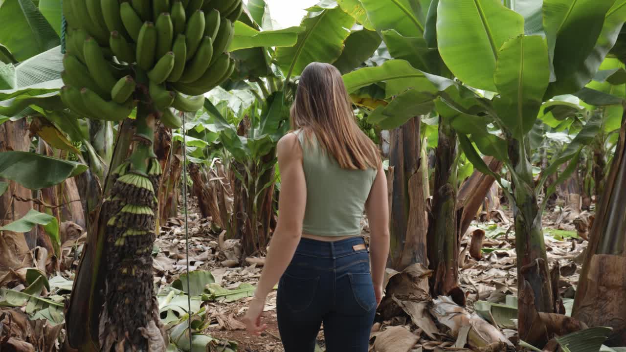 Young white Caucasian woman walking among banana trees in a banana plantation.